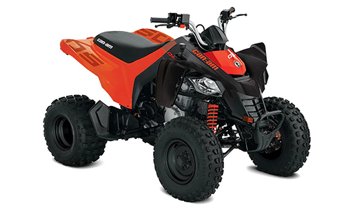 Can-Am ATV Youth DS 250 for sale in Ottawa