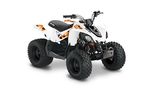 Can-Am ATV Youth DS 90 for sale in Ottawa