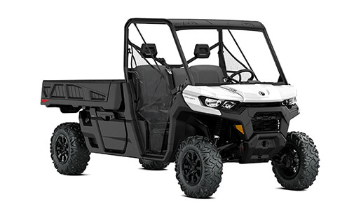 Can-Am Side-By-Side Defender Pro DPS for sale in Ottawa