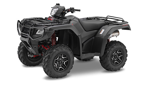2019 Honda Rubicon 500 DCT IRS EPS VTT à vendre à Limoges